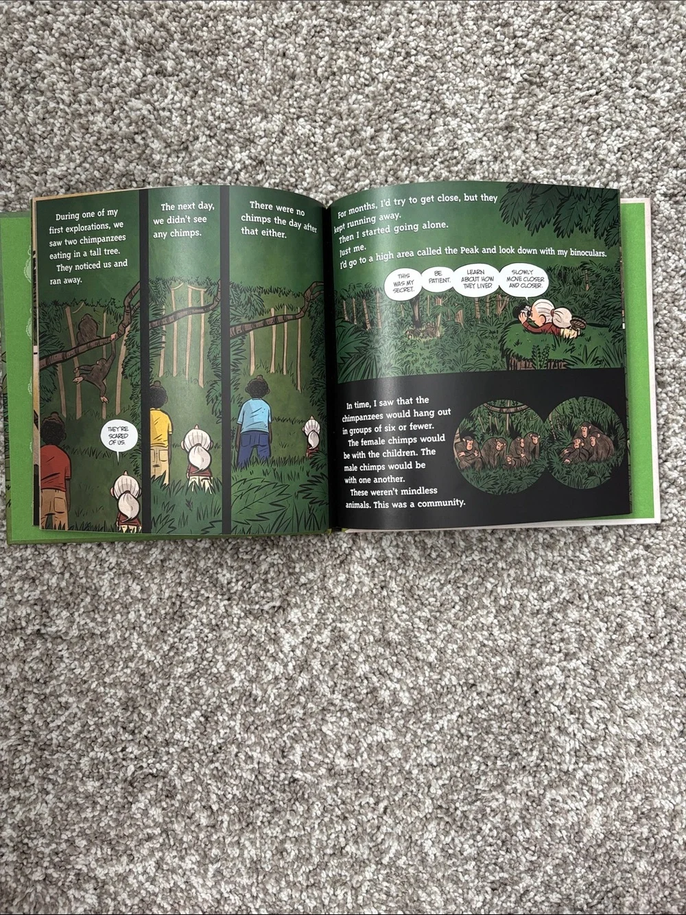 Strong Girls Gift Book Set by Brad Meltzer